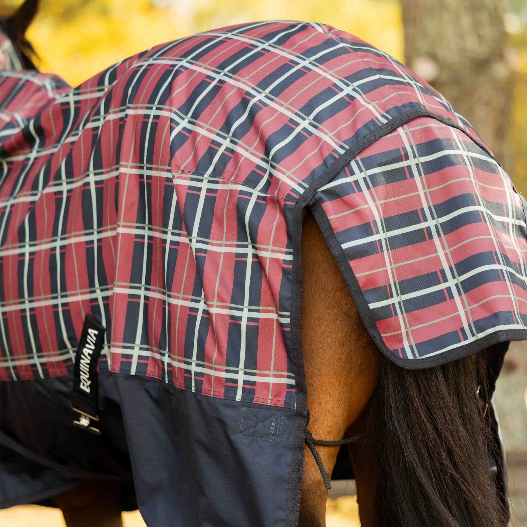 Equinavia Norse Full Neck Turnout Blanket 100g