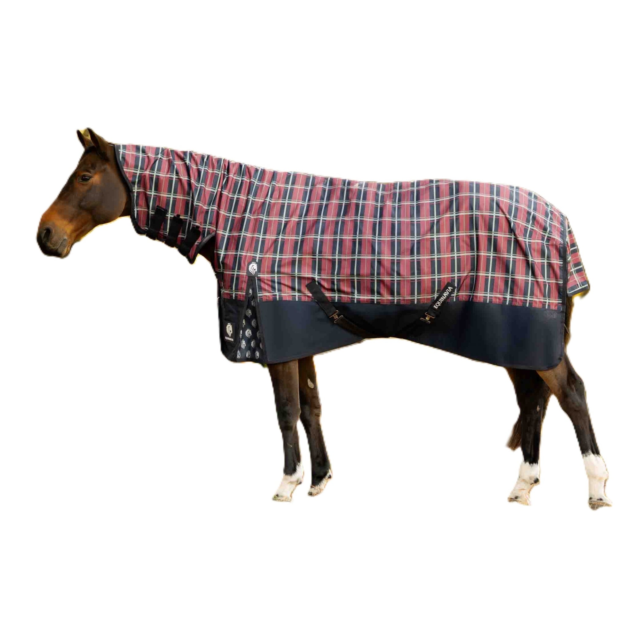 Equinavia Norse Full Neck Turnout Blanket 100g