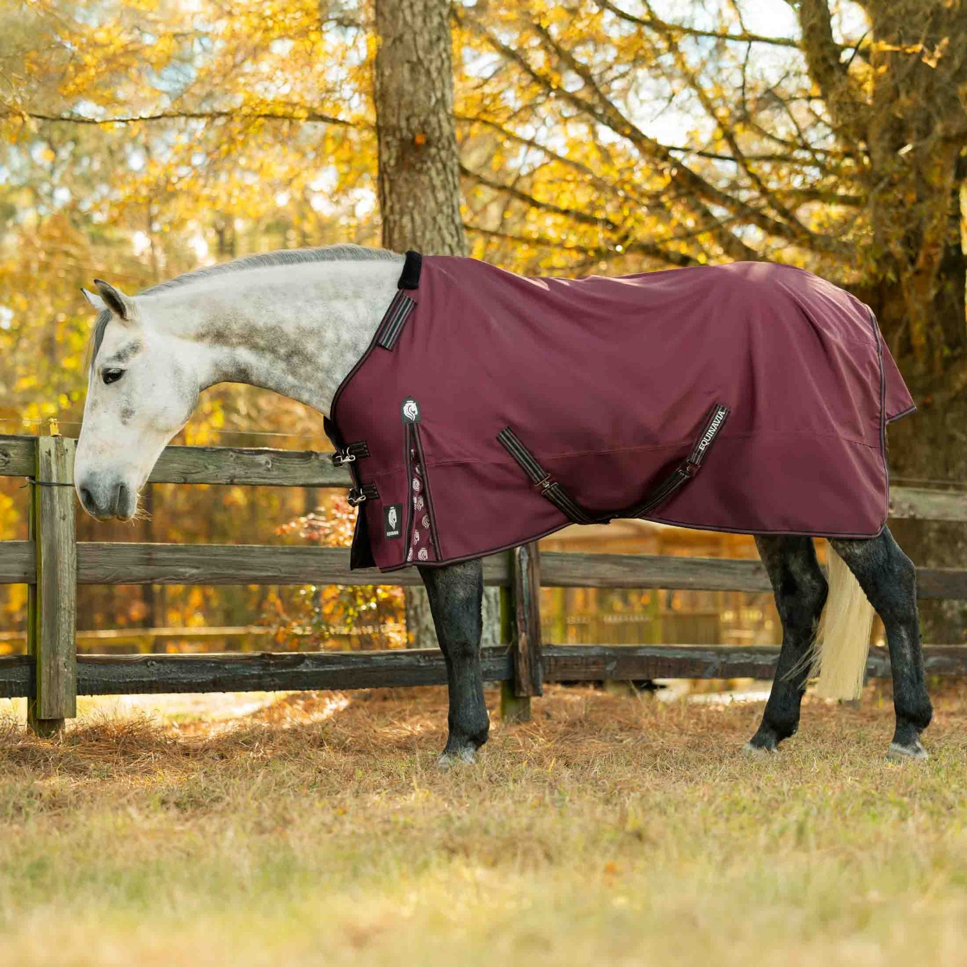 Equinavia Norse Pony Turnout Blanket 100g