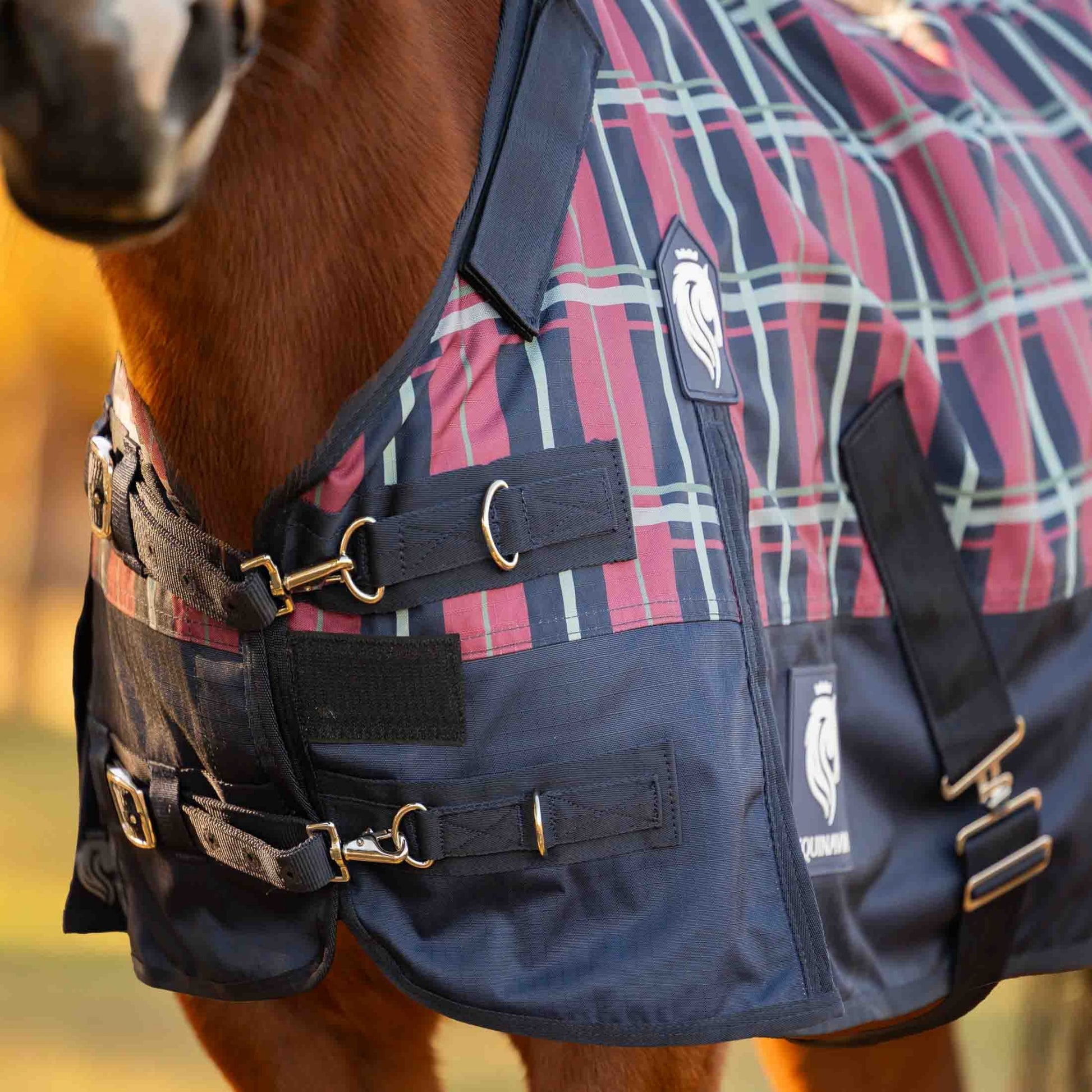 Equinavia Norse Pony Turnout Blanket 100g
