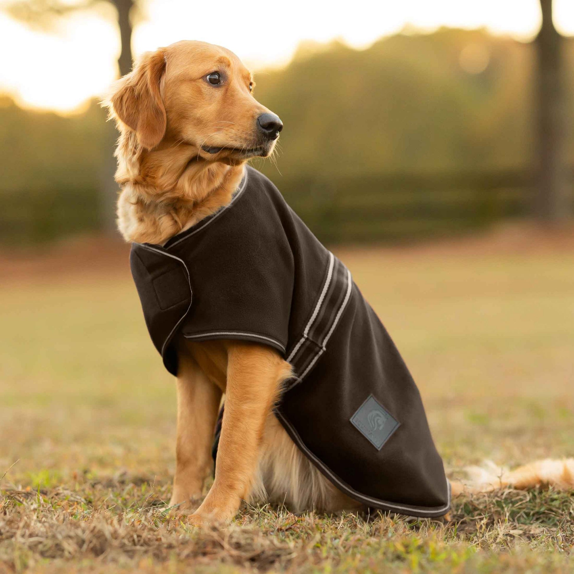 Equinavia Norse Fleece Dog Coat