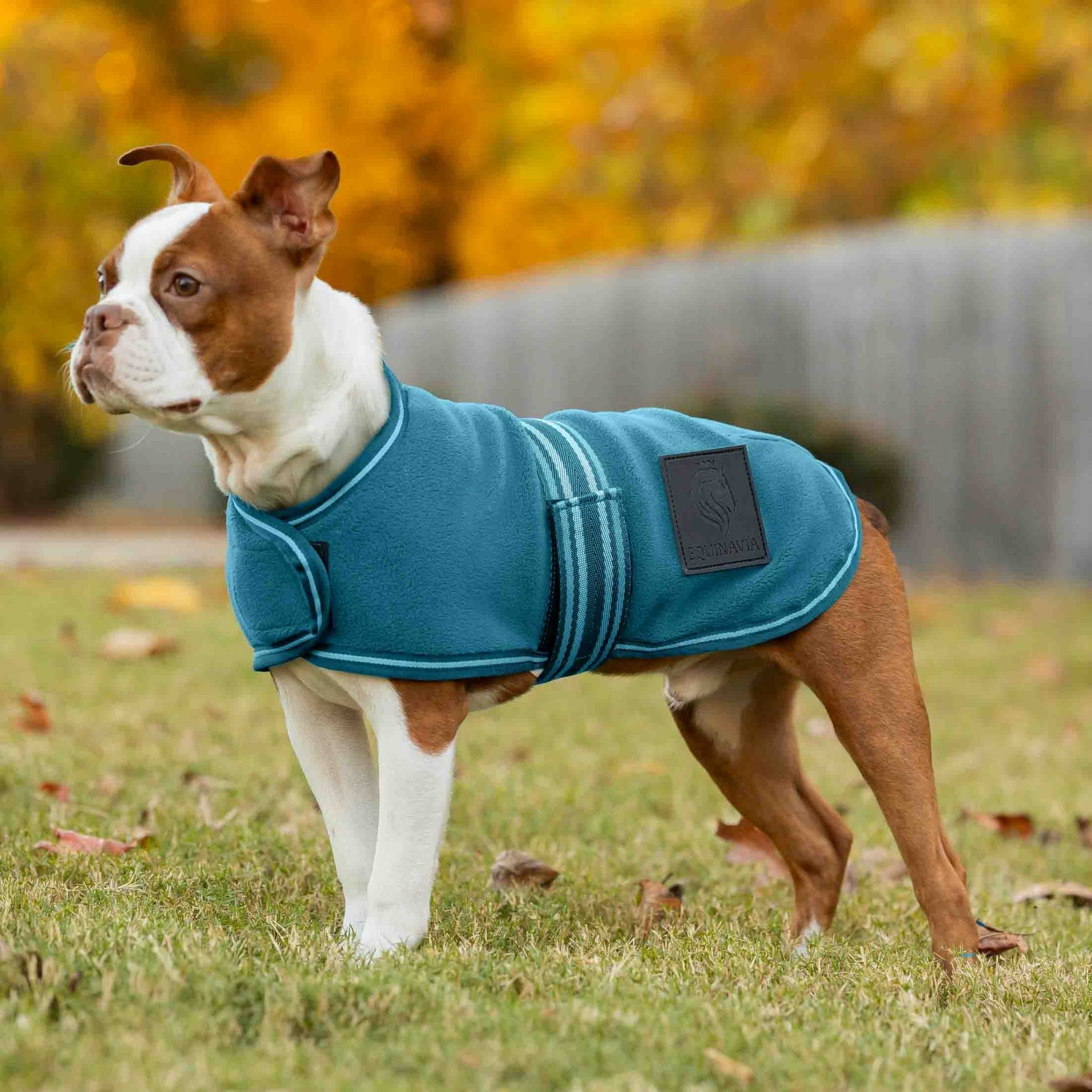 Equinavia Norse Fleece Dog Coat