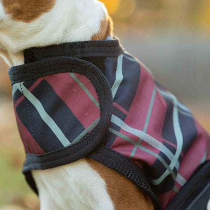 Equinavia Norse Dog Turnout Blanket 200g