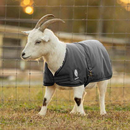 Equinavia Norse Waterproof Goat Coat 0g