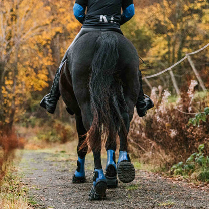 Equine Fusion Dampening Hoof Boot Pads 2.0 Pair