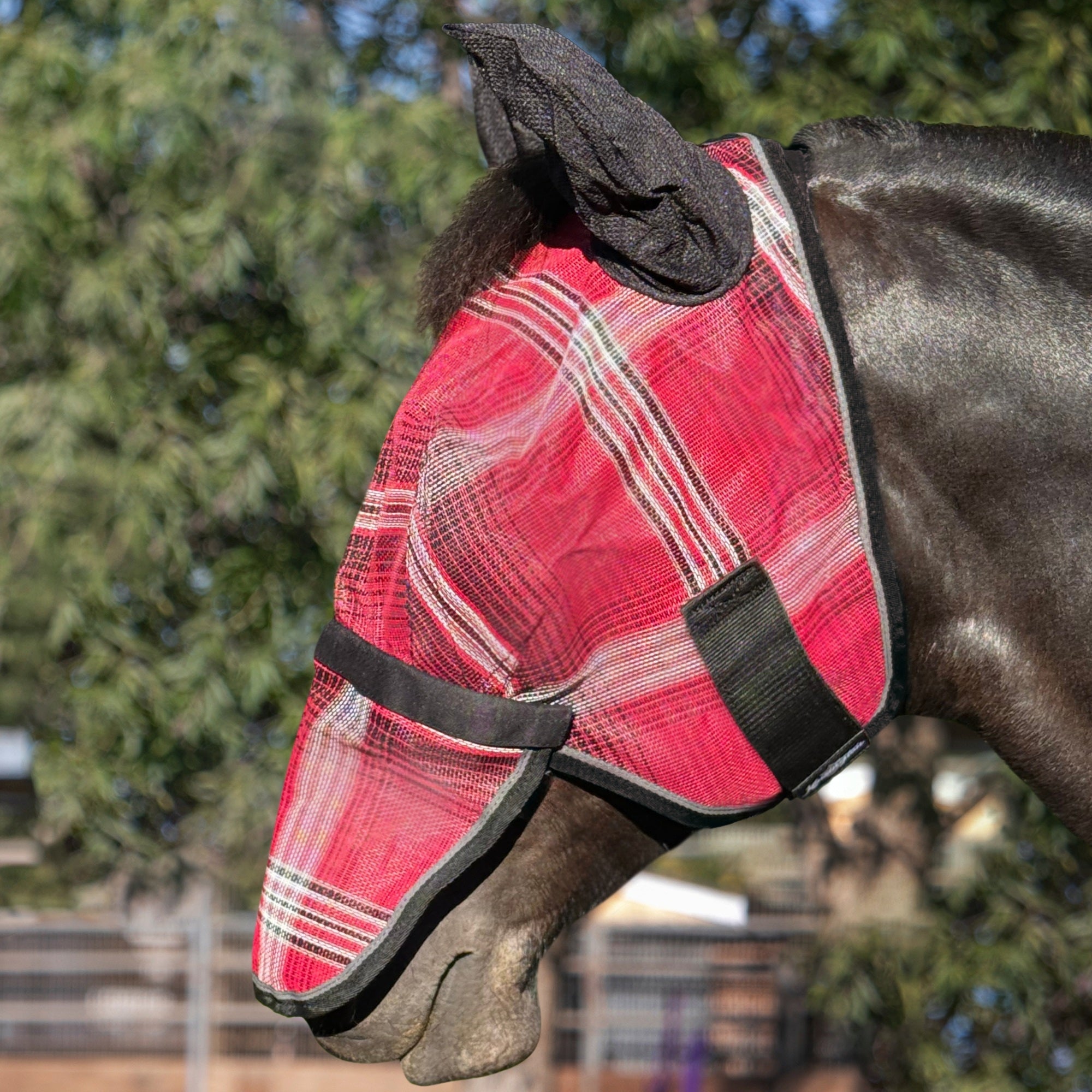 Kensington Mask with Nose and Ears