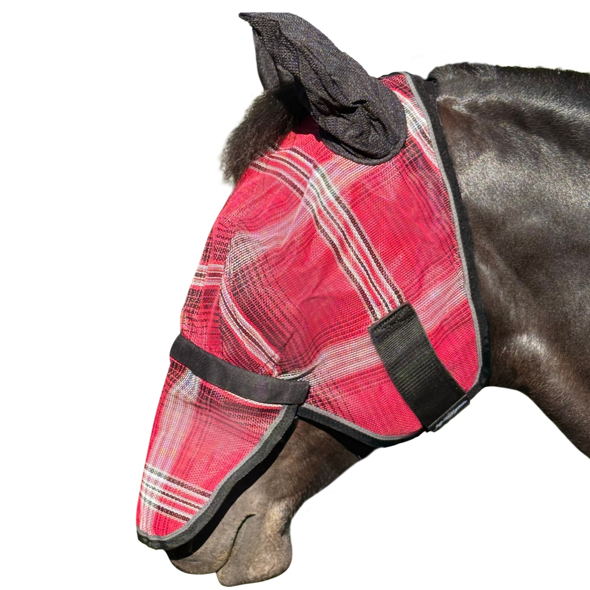 Kensington Mask with Nose and Ears
