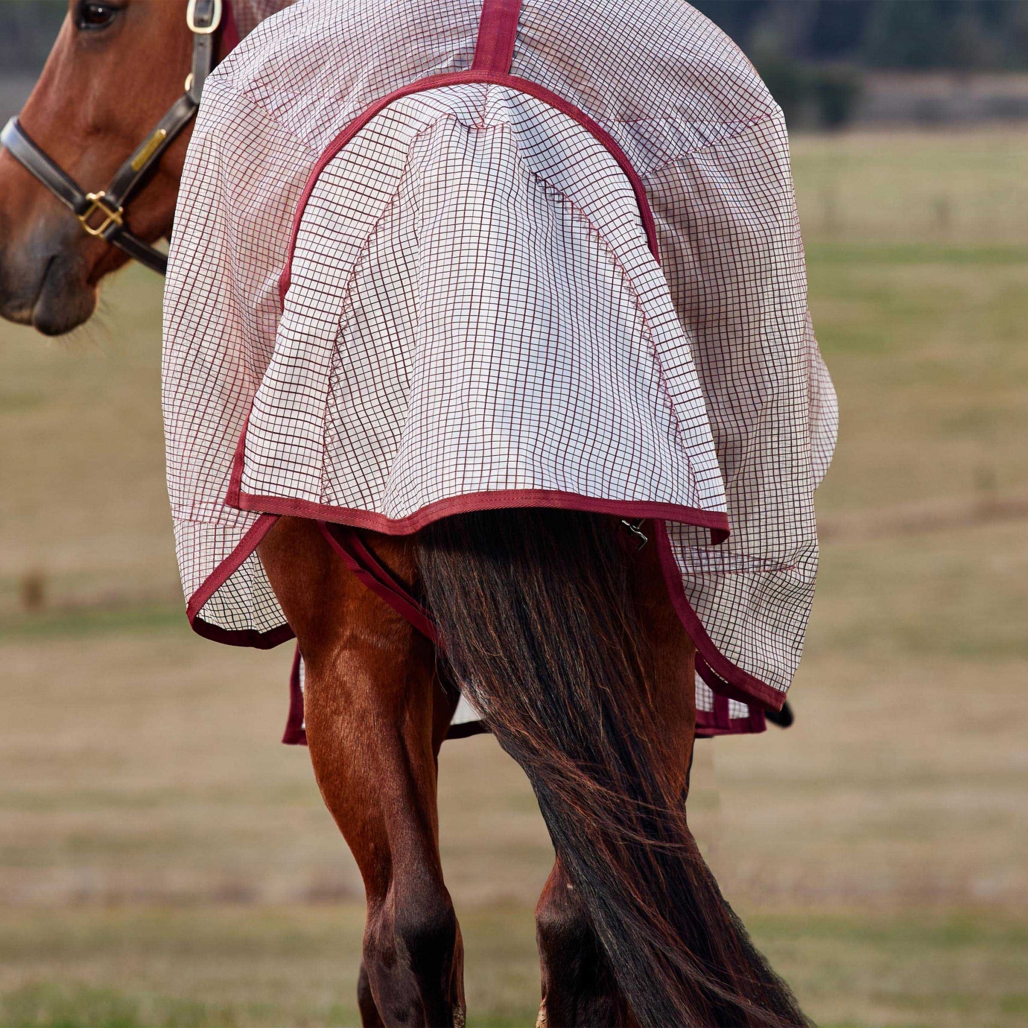 WeatherBeeta ComFiTec Ripshield Standard Neck Fly Sheet