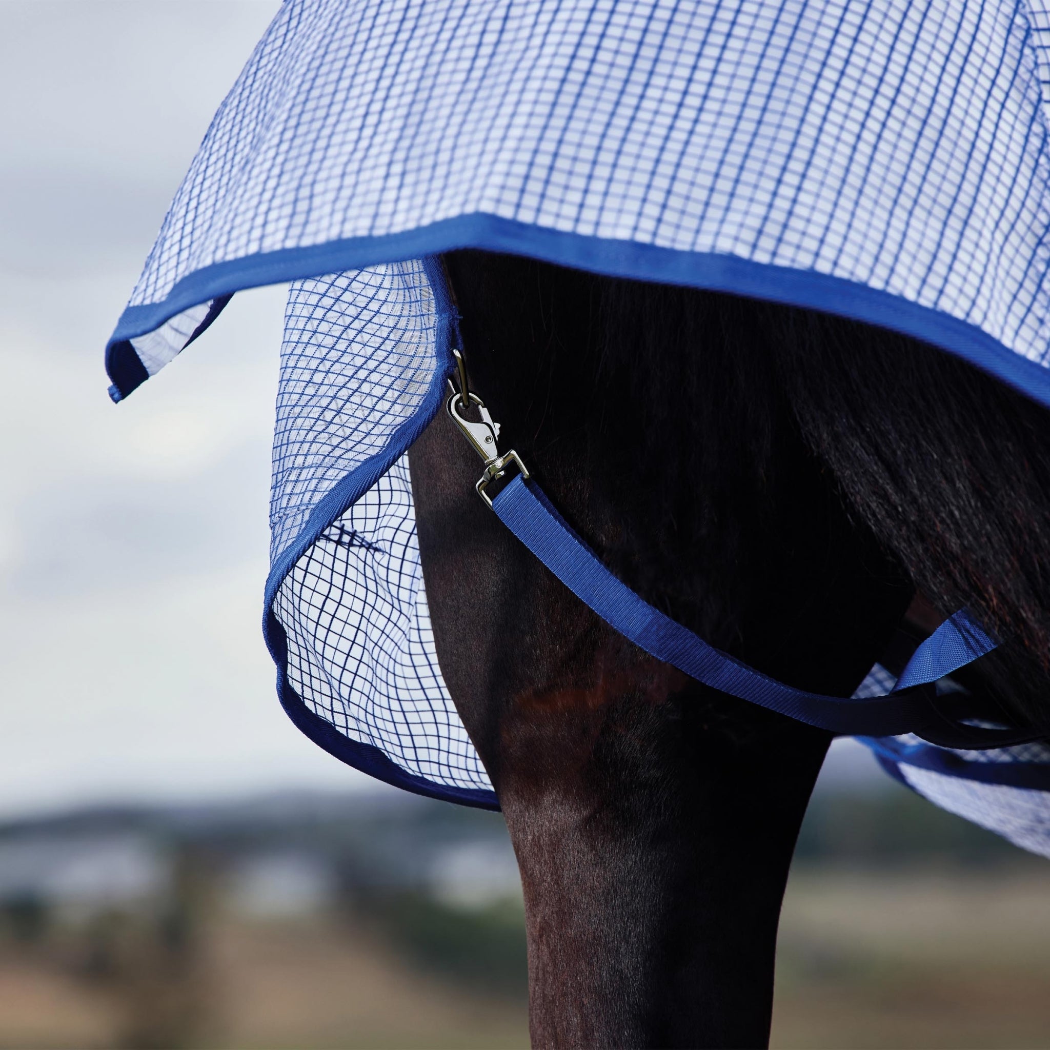 WeatherBeeta ComFiTec Ripshield Standard Neck Fly Sheet