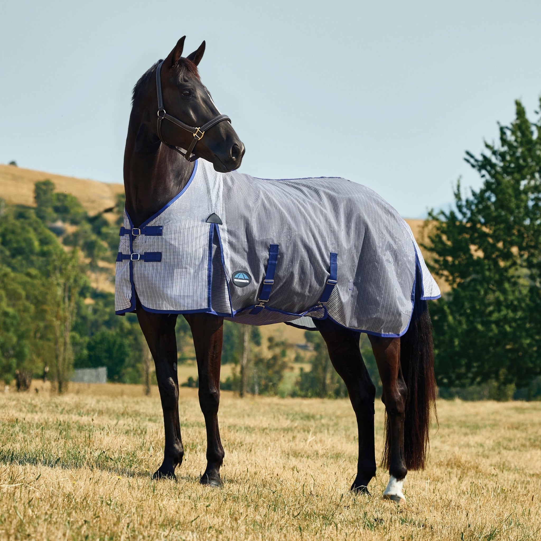 WeatherBeeta ComFiTec Ripshield Standard Neck Fly Sheet