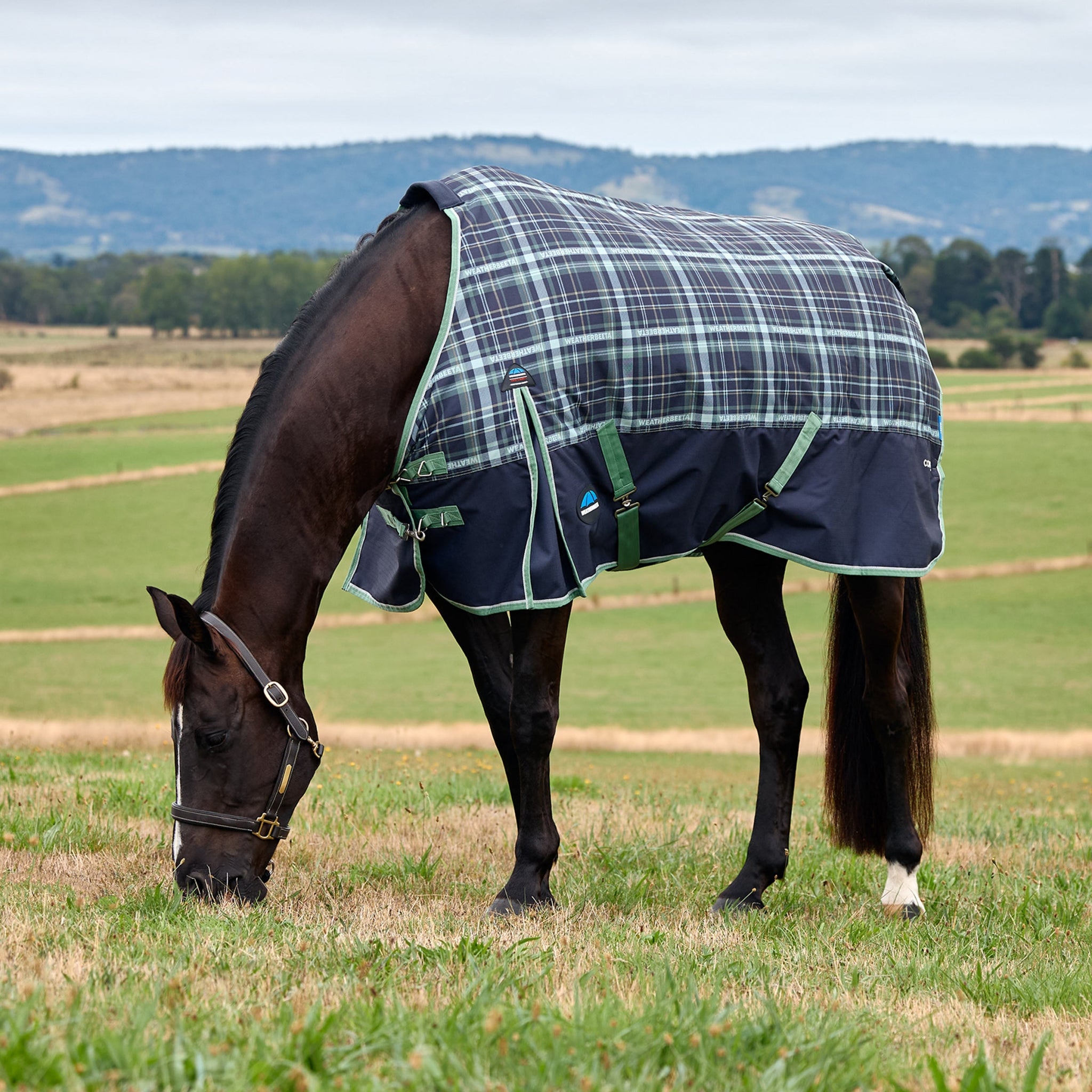 Weatherbeeta Comfitec Limted Edition Plaid Print Turnout 220g