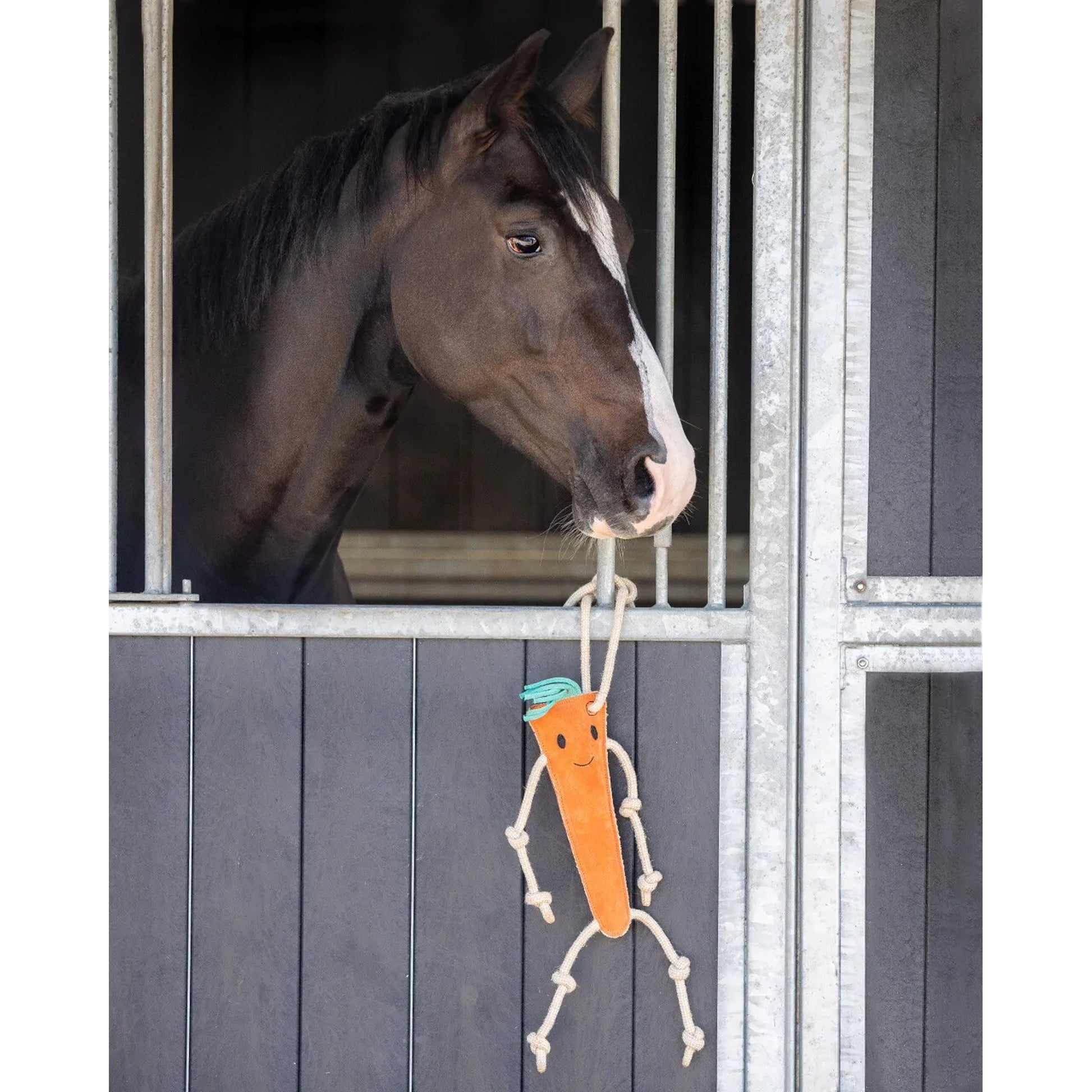QHP Carrot Horse Toy