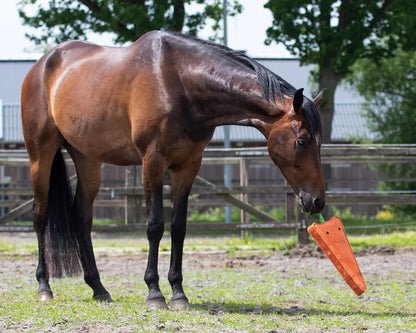 QHP Carrot Horse Toy