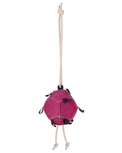 QHP Horse Ball Toy