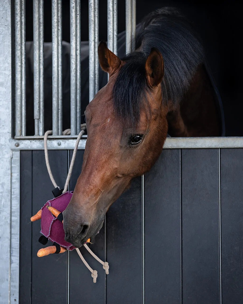 QHP Horse Ball Toy