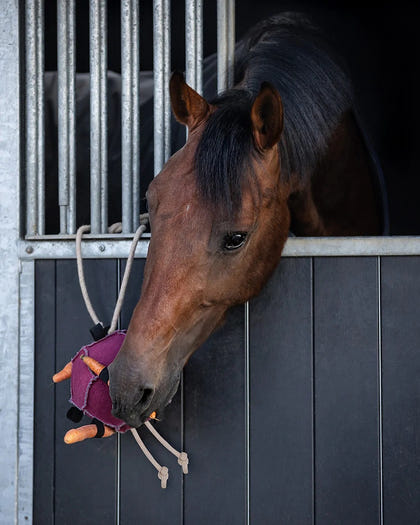 QHP Horse Ball Toy