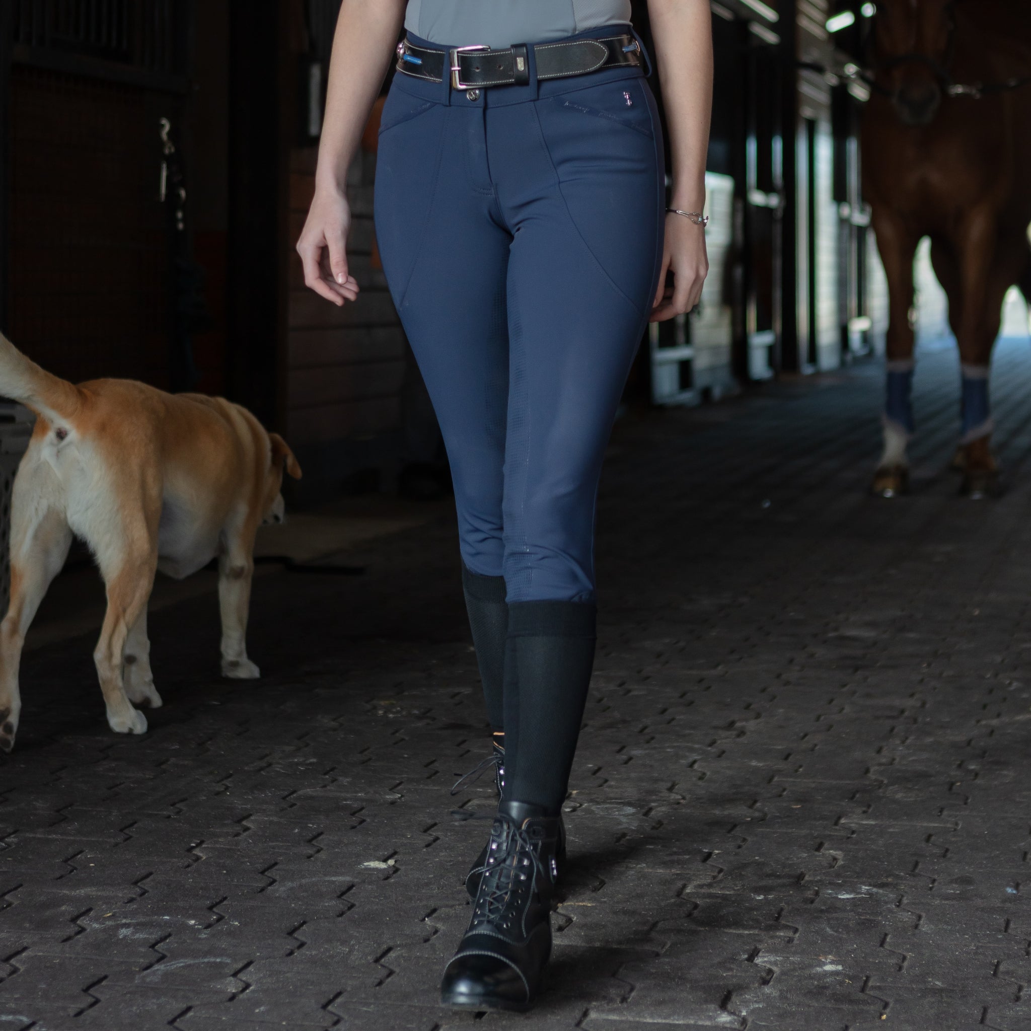 Tredstep Ireland Evolute Pro Ladies Full Seat Breeches