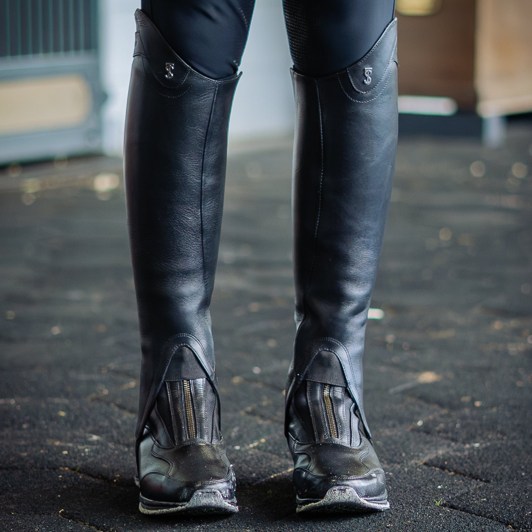 Tredstep Ireland Sirani Half Chaps