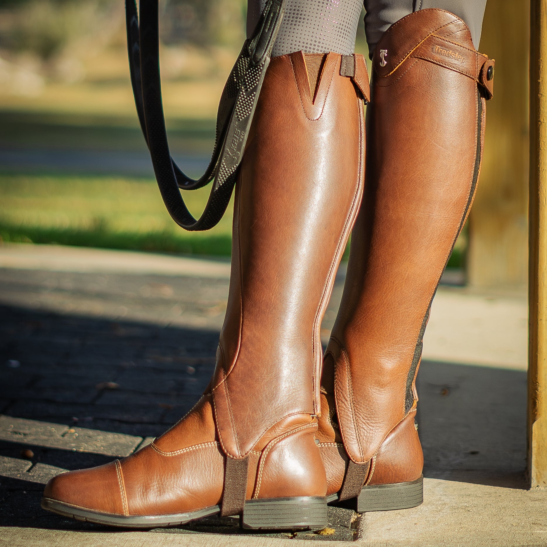 Tredstep Ireland Sirani Half Chaps