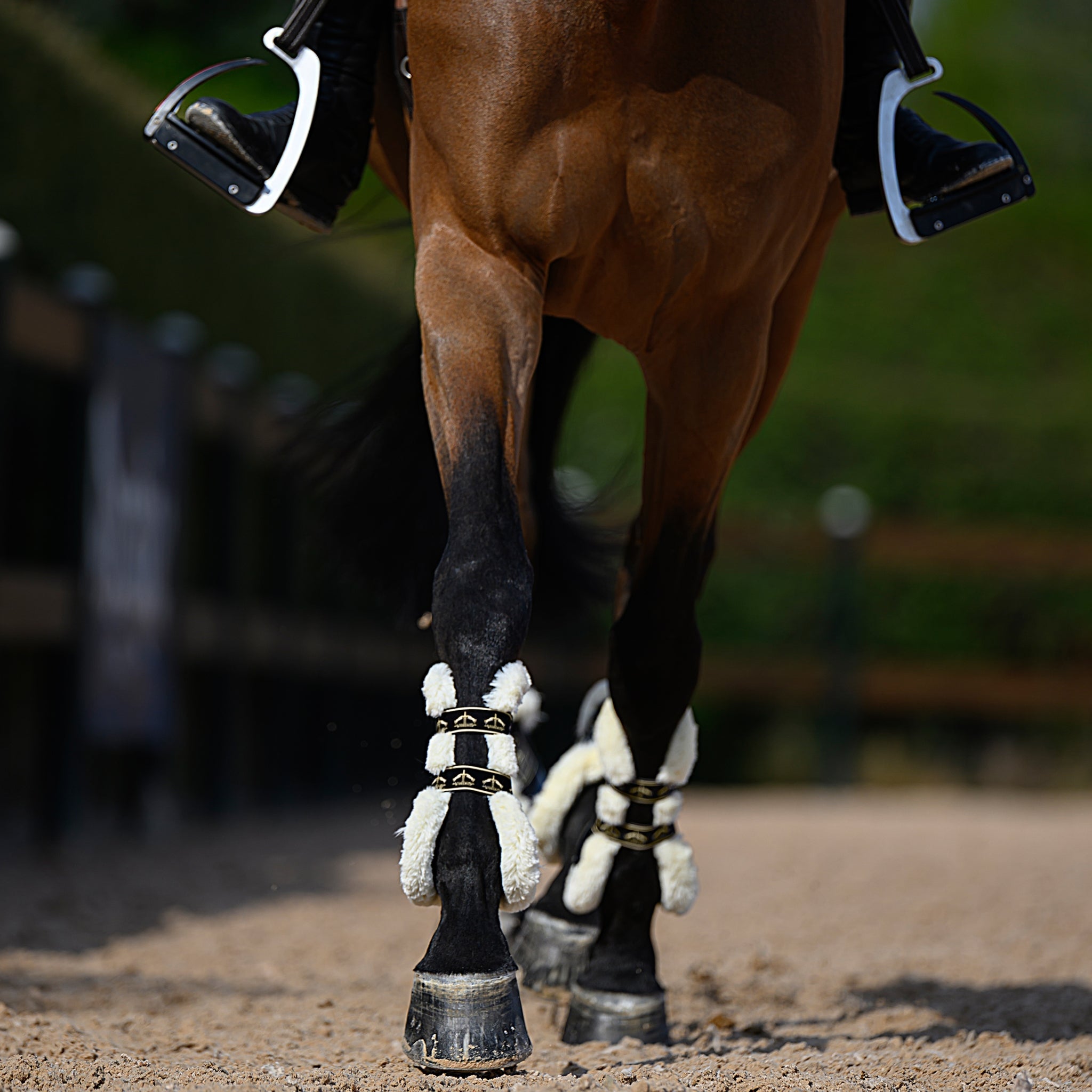 Veredus Carbon Gel Absolute Save the Sheep Front Tendon Boots