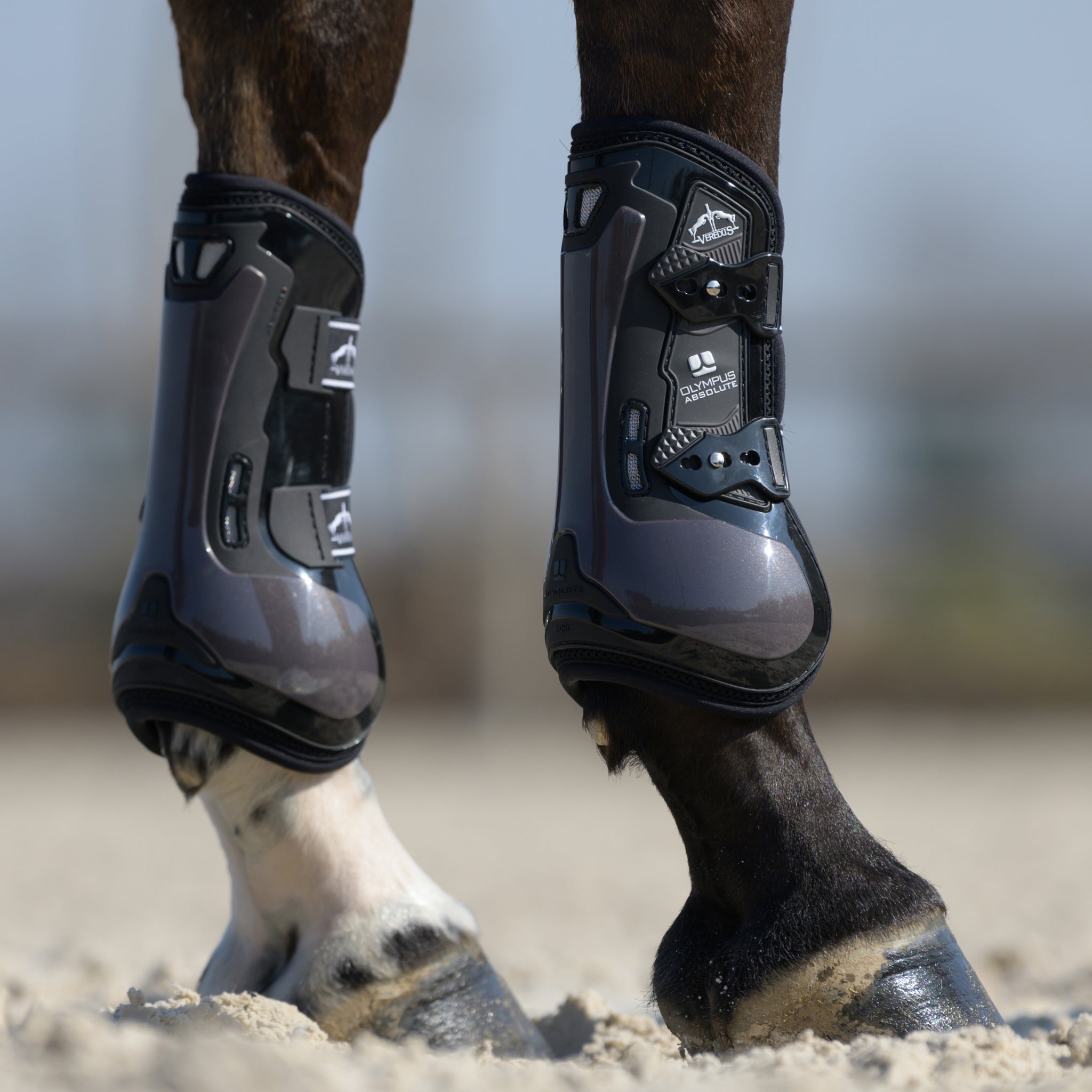 Veredus Olympus Absolute Front Tendon Boots