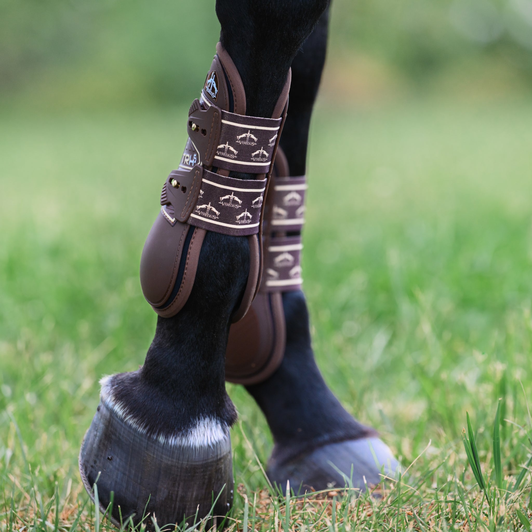 Veredus TRH5 Front Tendon Boots