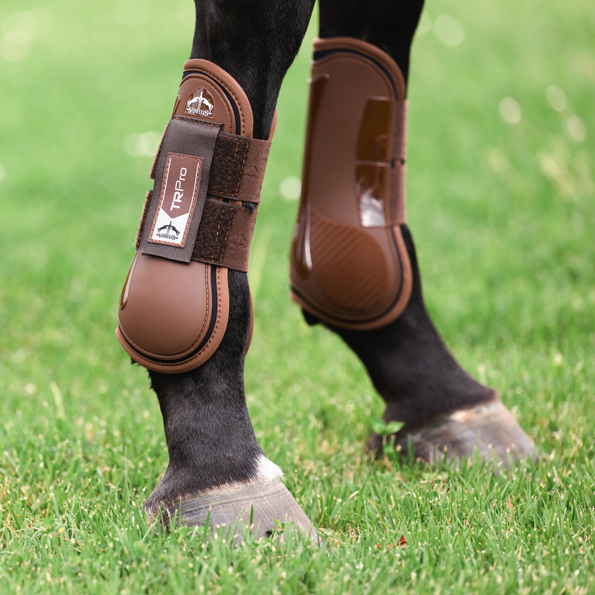 Veredus TR Pro Front Tendon Boots