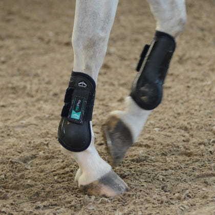 Veredus TR Pro Rear Fetlock Boots