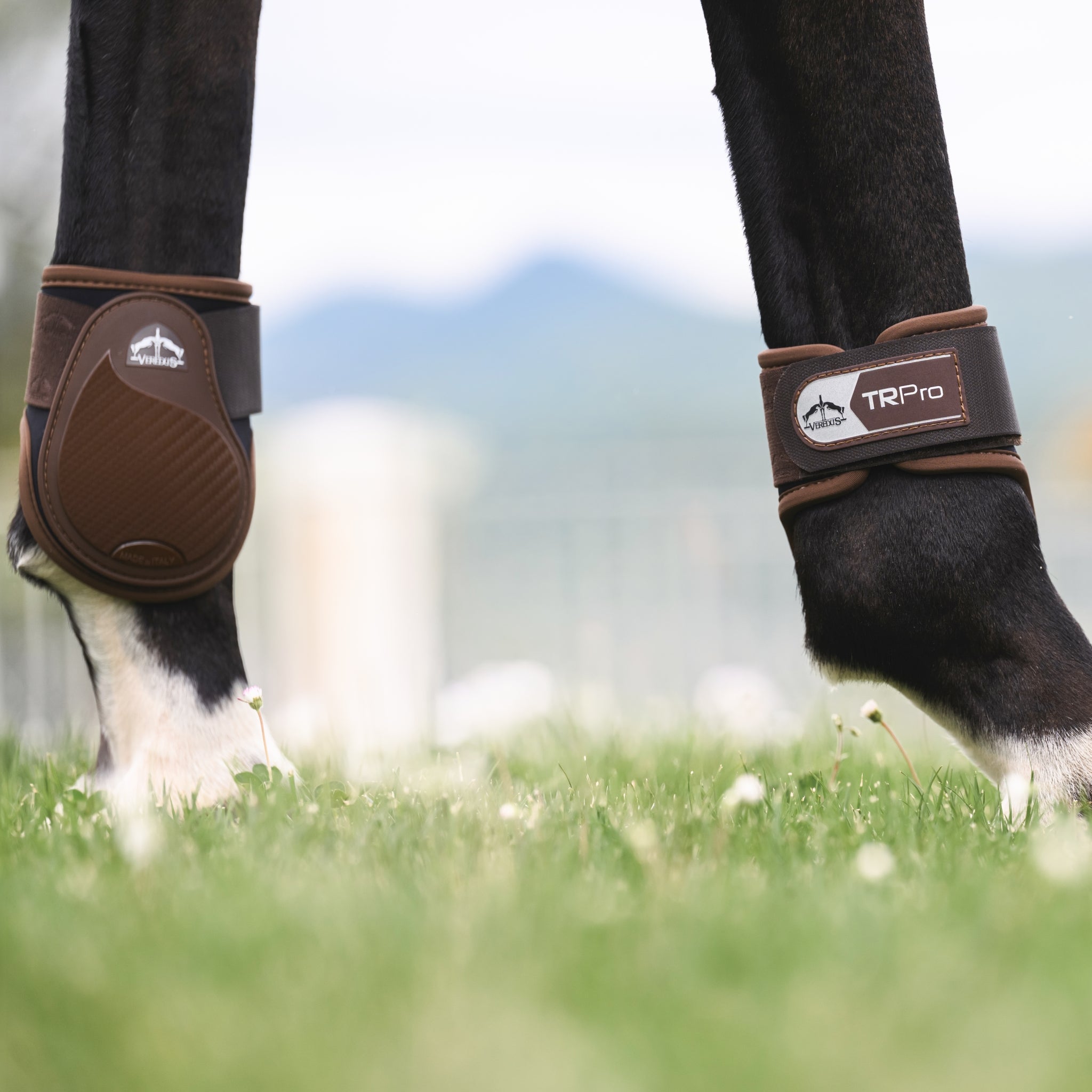 Veredus TR Pro Rear Fetlock Boots