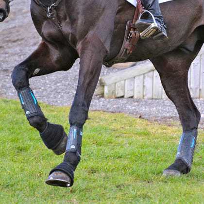 Veredus E-Vento Cross Country Front Boots