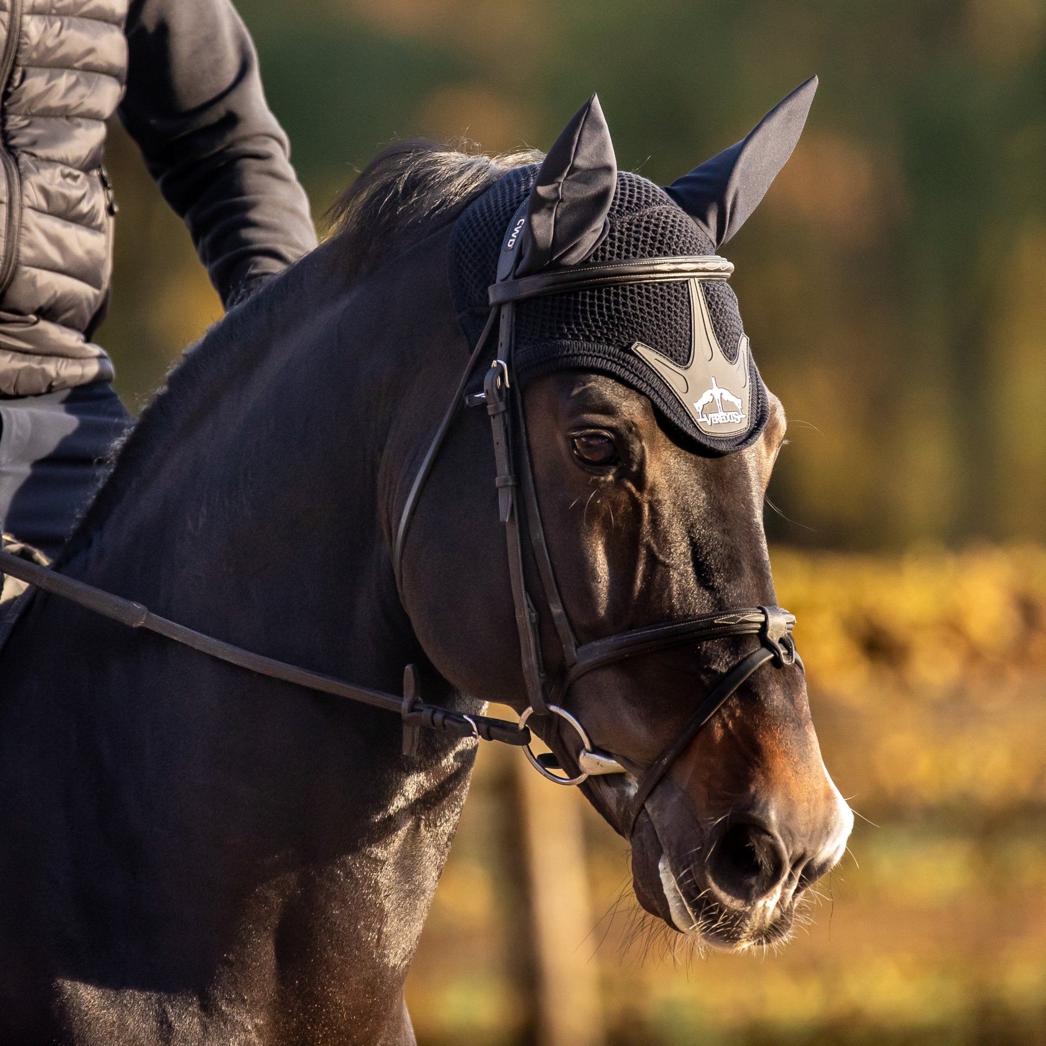 Veredus Stability Ear Net