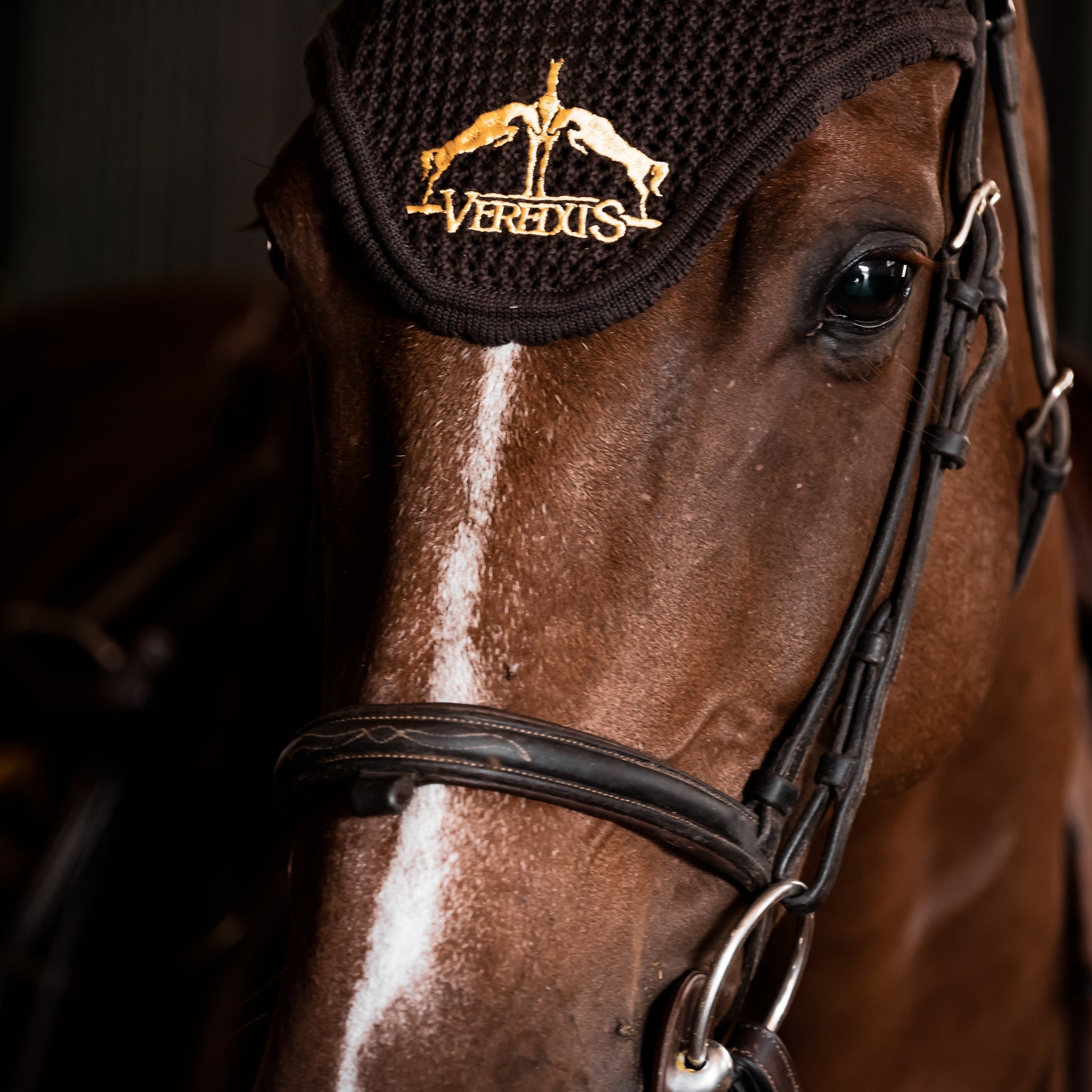 Veredus Grand Slam Ear Net