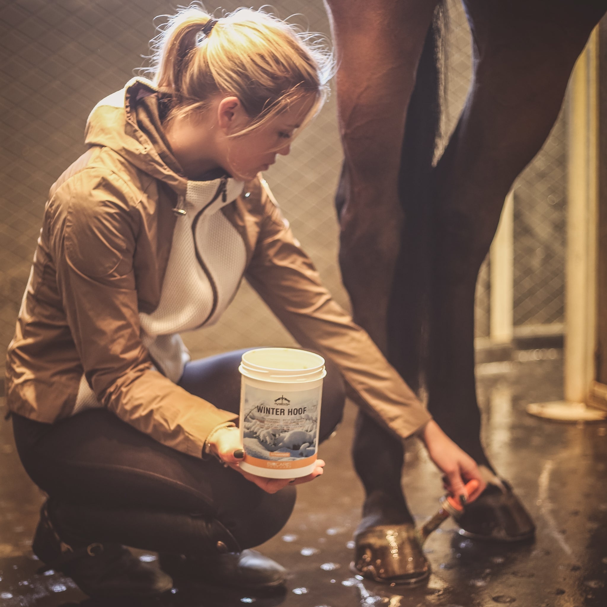 Veredus Winter Hoof