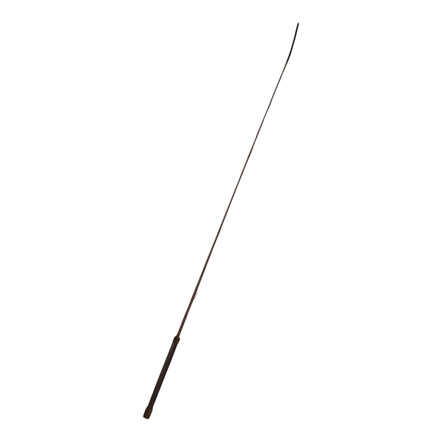 4-543006.jpg