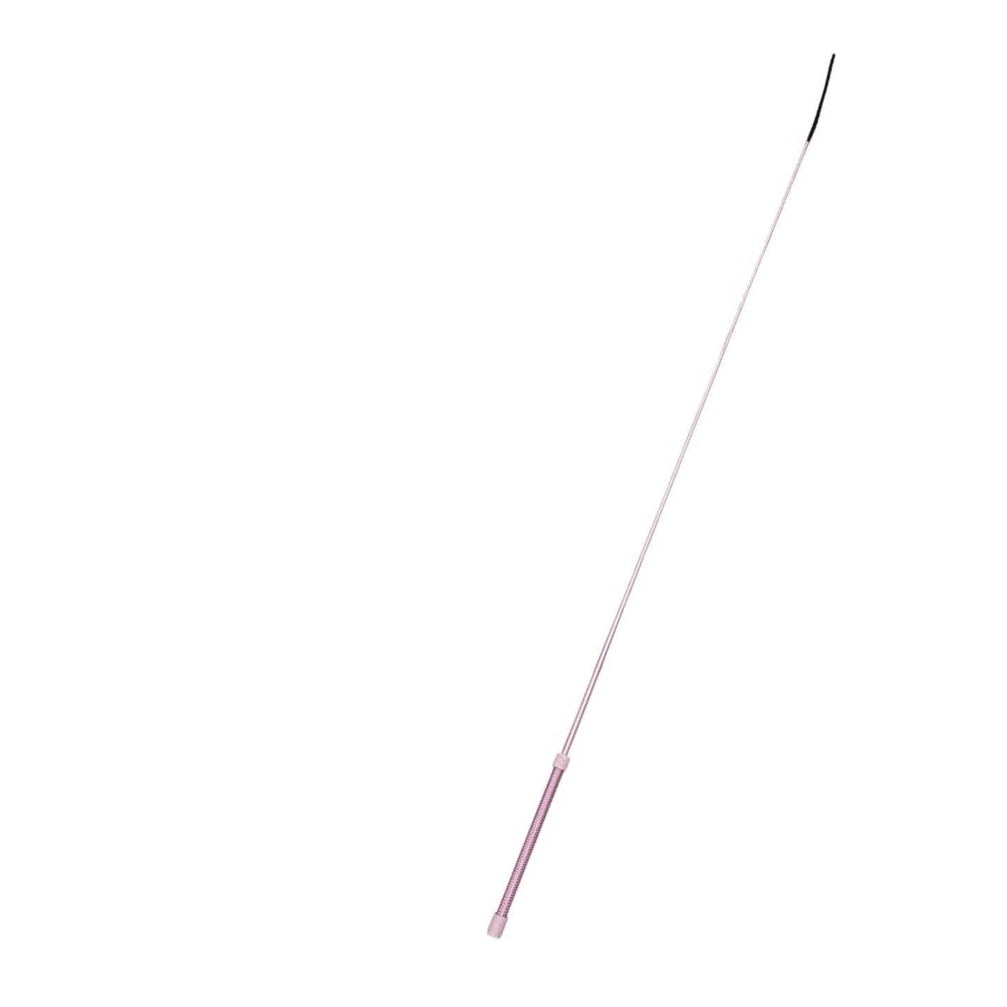 4-543008.jpg