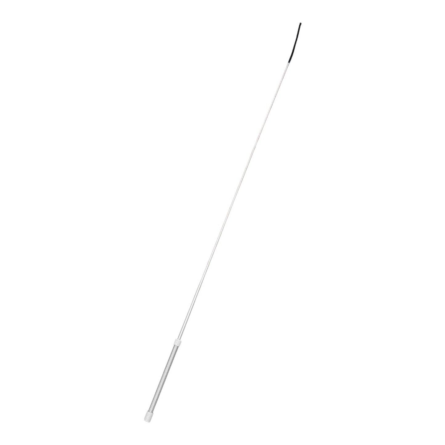 4-543011.jpg