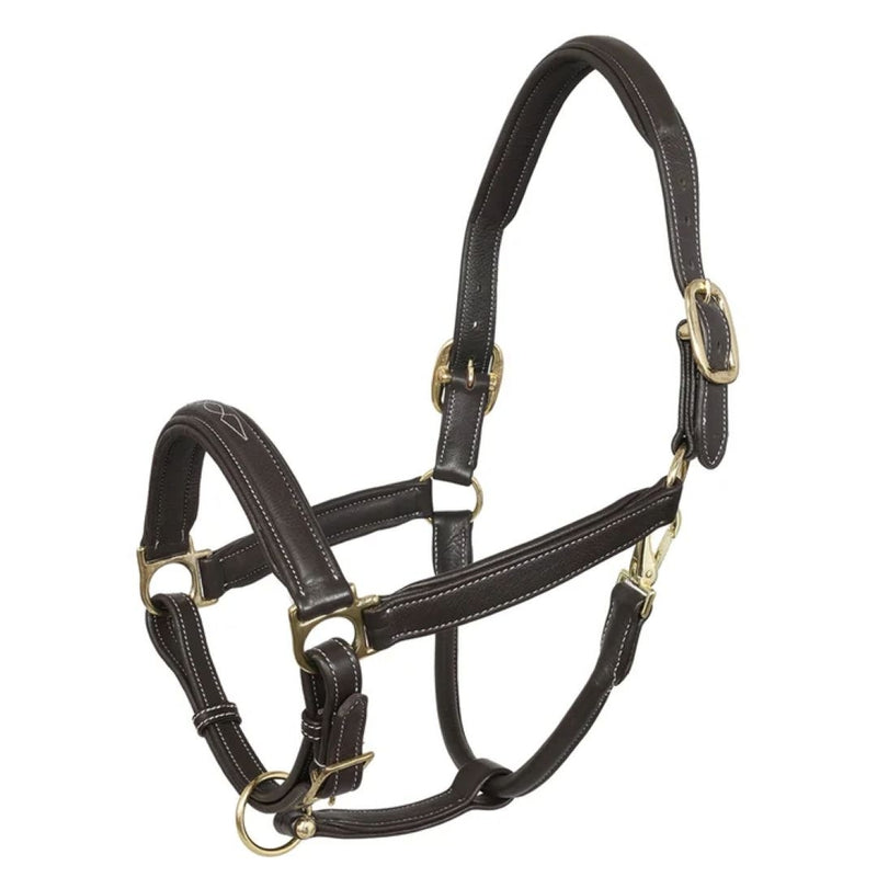 HDR Laureate Fancy Stitched Grippy Leather Halter with Brass