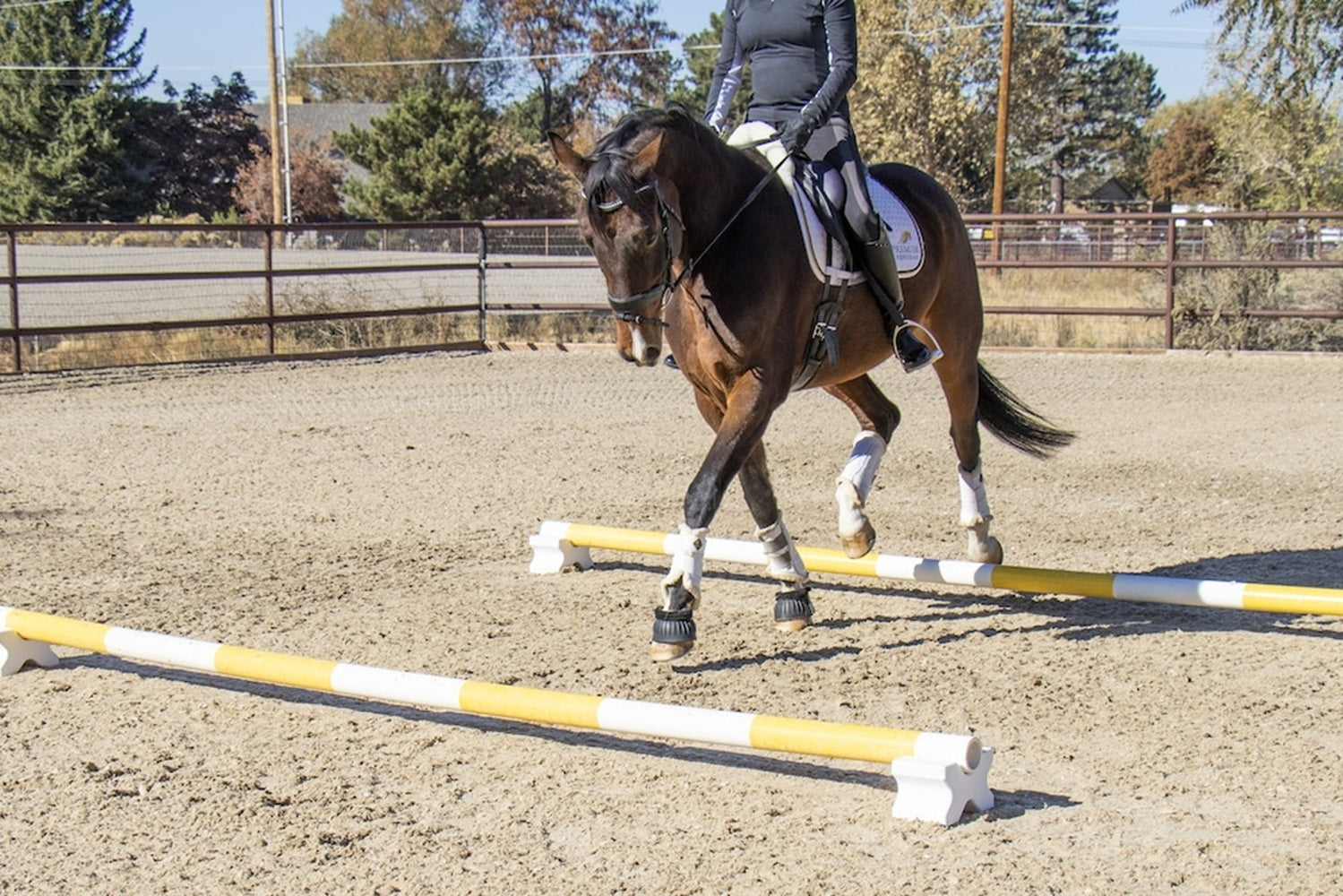 Burlingham Sports Cavaletti Riser Blocks