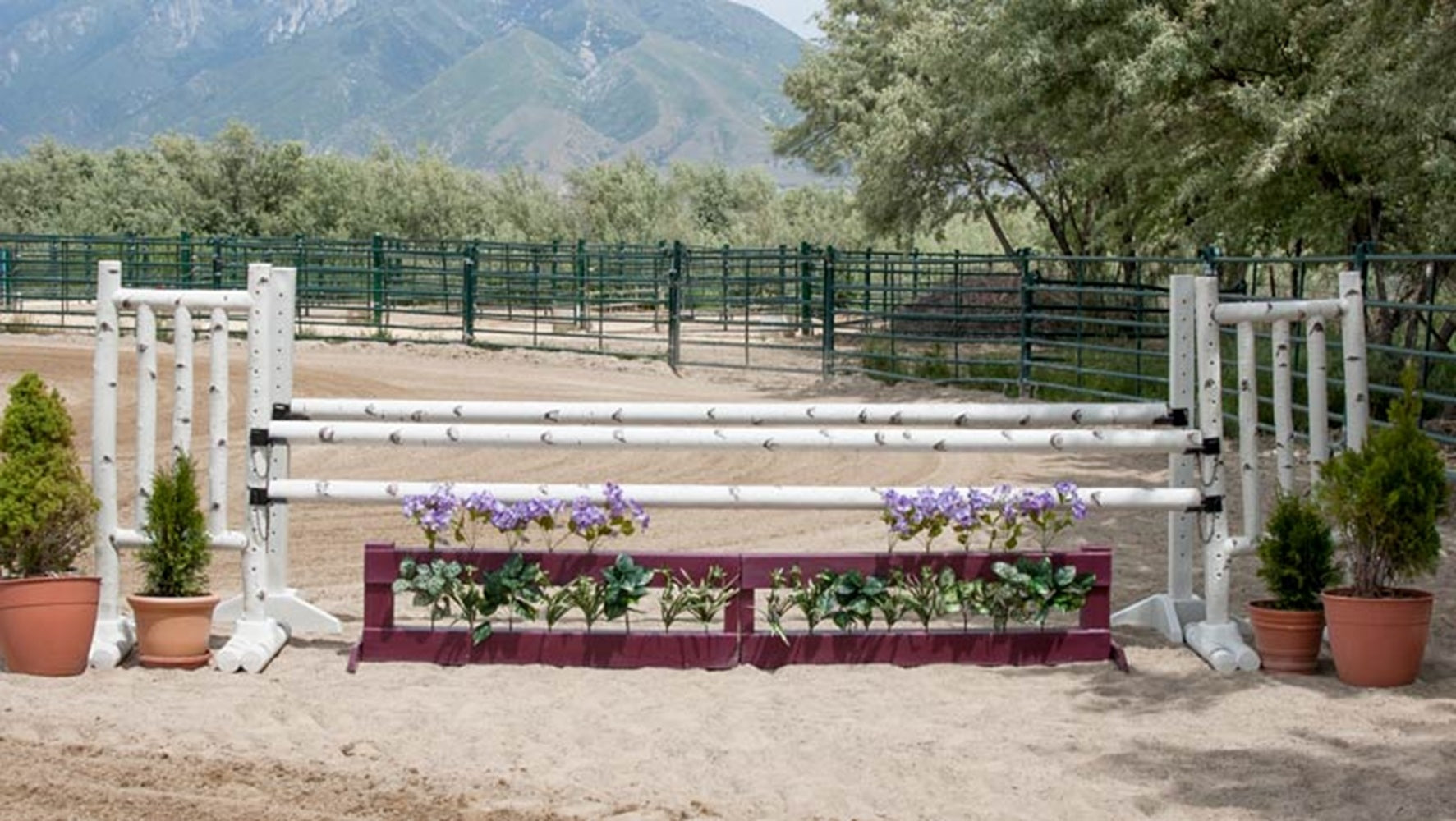 Burlingham Sports 5 Ft Jump Standards