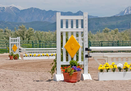 Burlingham Sports Straight Picket Diamond Two Tone 5 Ft Jump Standards