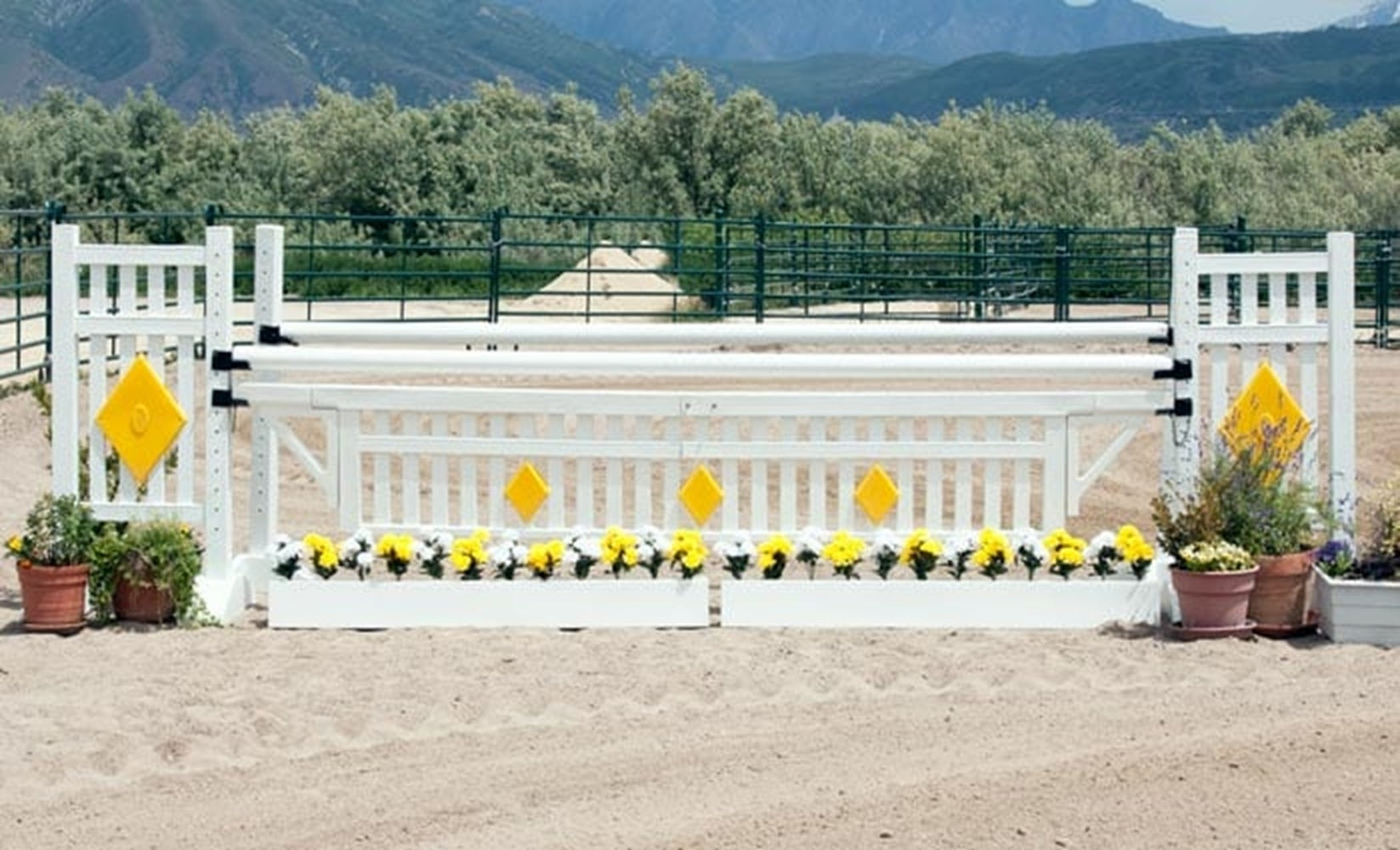 Burlingham Sports Straight Picket Diamond Two Tone 5 Ft Jump Standards
