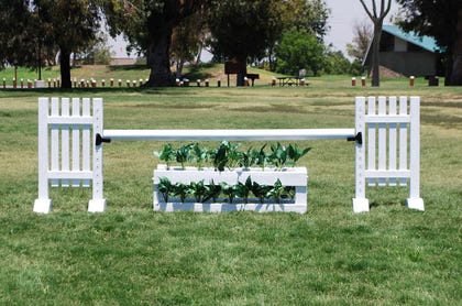 Burlingham Sports Brush Box