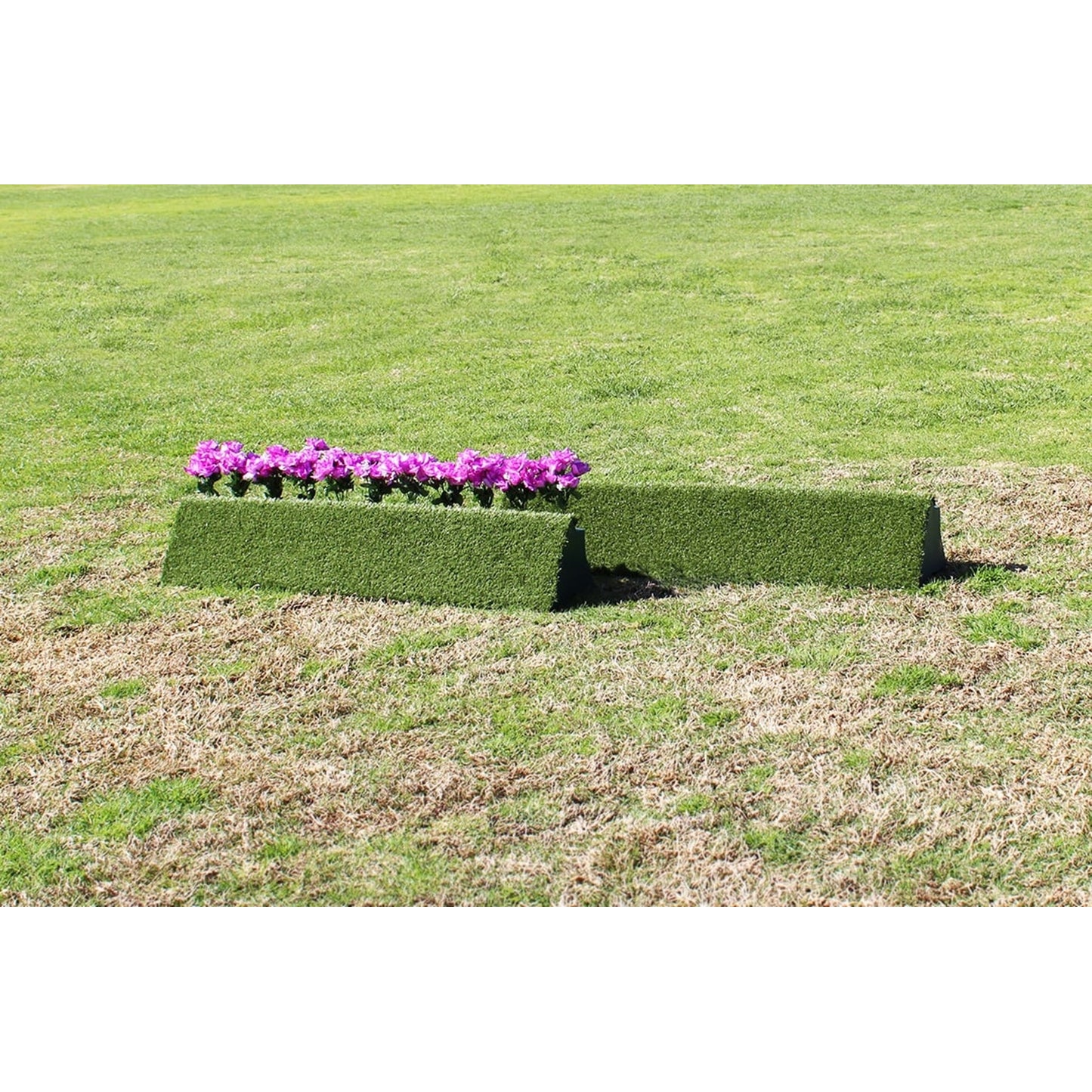 4-547462-4.jpg