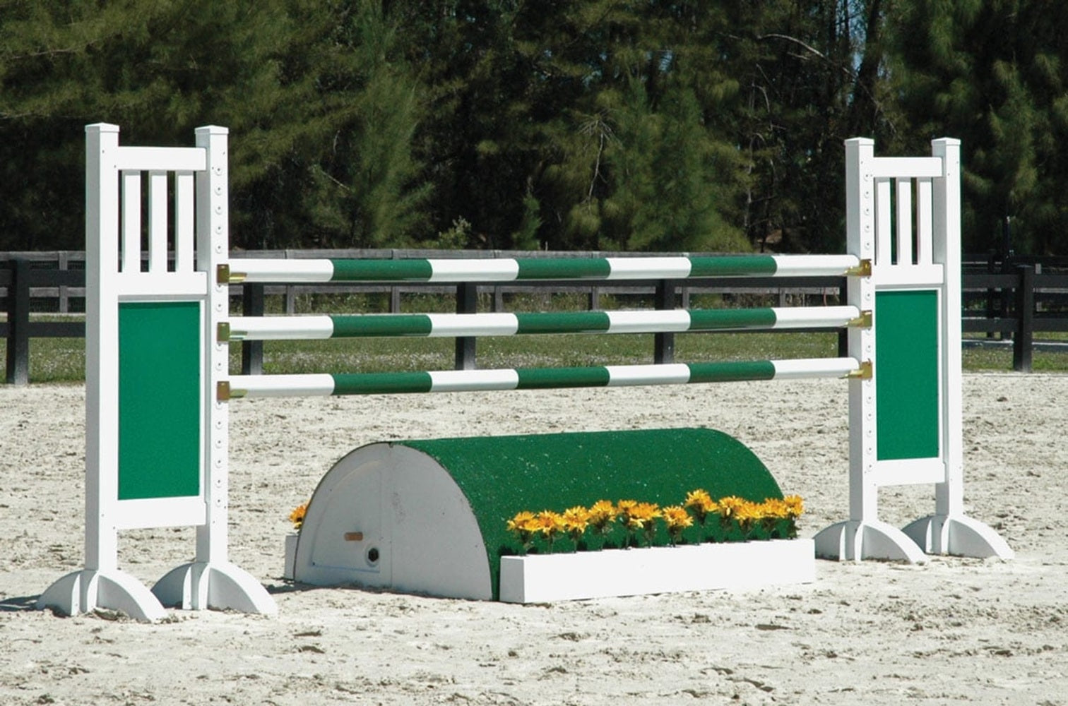 Burlingham Sports Striped Jump Poles - Set of 4