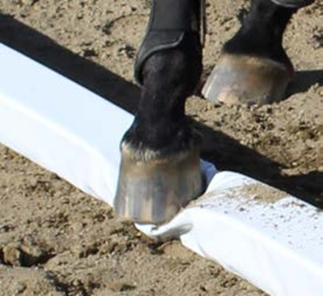 Burlingham Sports Soft Rails
