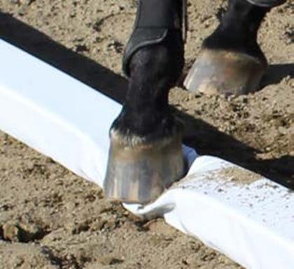 Burlingham Sports Soft Rails