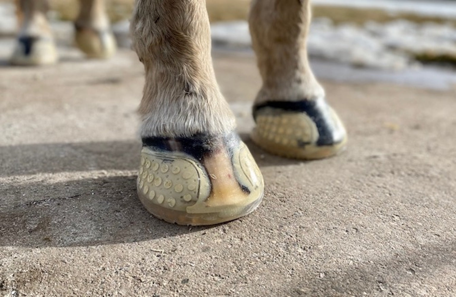 EasyCare EasyShoe Versa Grip Glue Front - Sold in Pairs