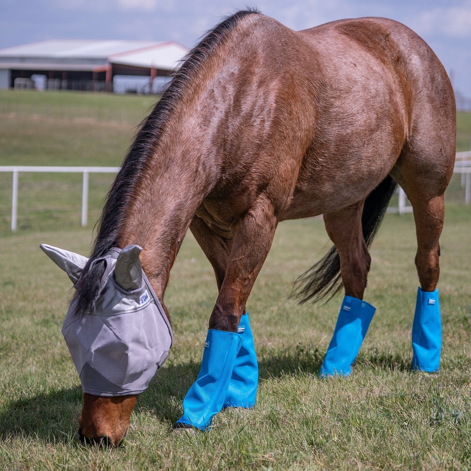 Cashel Crusader Turnout Leg Guards - Set of 4
