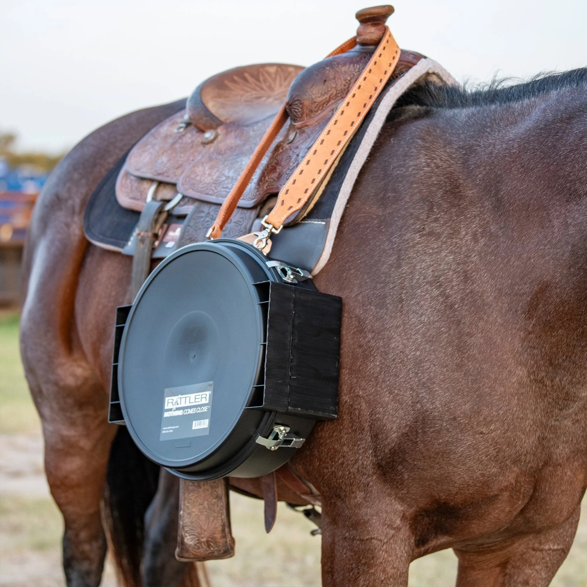 Martin Saddlery Rope Can Strap