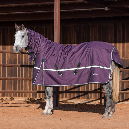 Classic Equine 10K Cross Trainer 300g Hooded Winter Blanket